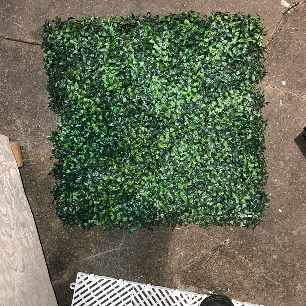 Grass wall panels 10x10